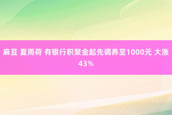 麻豆 夏雨荷 有银行积聚金起先调养至1000元 大涨43%
