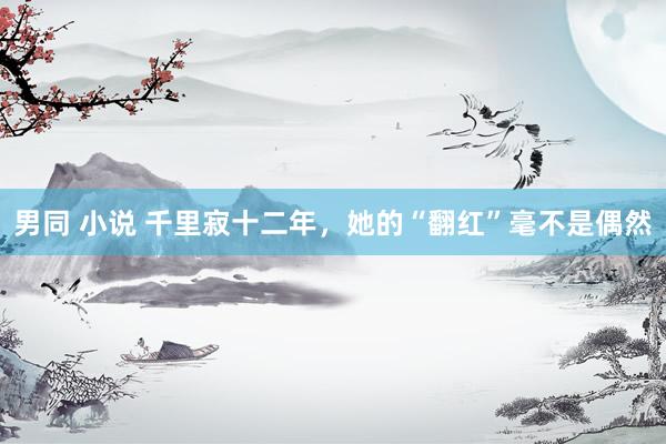 男同 小说 千里寂十二年，她的“翻红”毫不是偶然