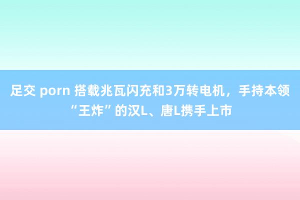 足交 porn 搭载兆瓦闪充和3万转电机，手持本领“王炸”的汉L、唐L携手上市