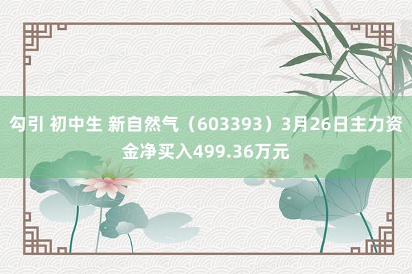 勾引 初中生 新自然气（603393）3月26日主力资金净买入499.36万元