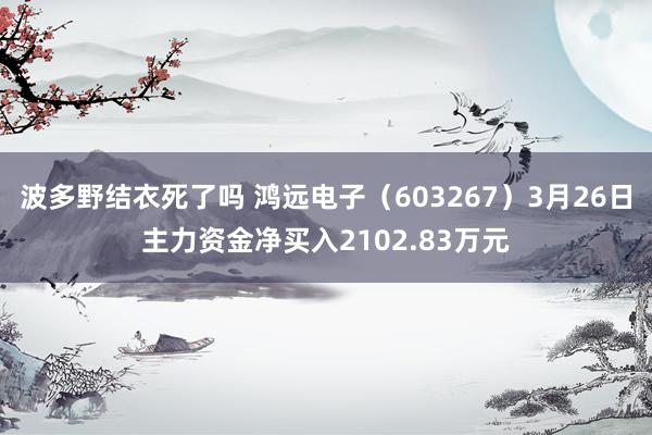 波多野结衣死了吗 鸿远电子（603267）3月26日主力资金净买入2102.83万元