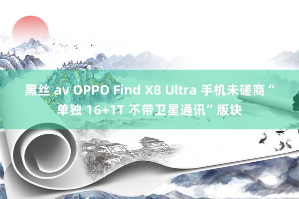 黑丝 av OPPO Find X8 Ultra 手机未磋商“单独 16+1T 不带卫星通讯”版块