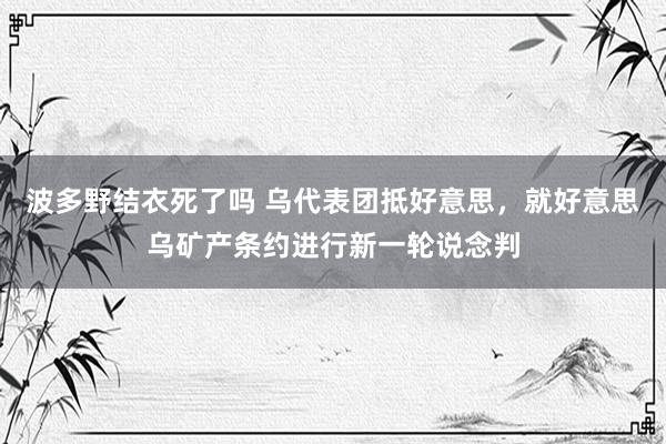 波多野结衣死了吗 乌代表团抵好意思，就好意思乌矿产条约进行新一轮说念判