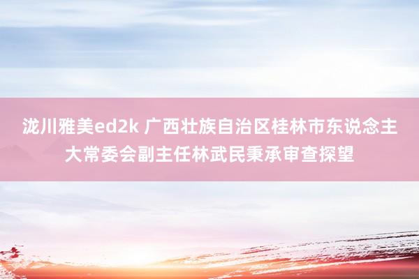 泷川雅美ed2k 广西壮族自治区桂林市东说念主大常委会副主任林武民秉承审查探望