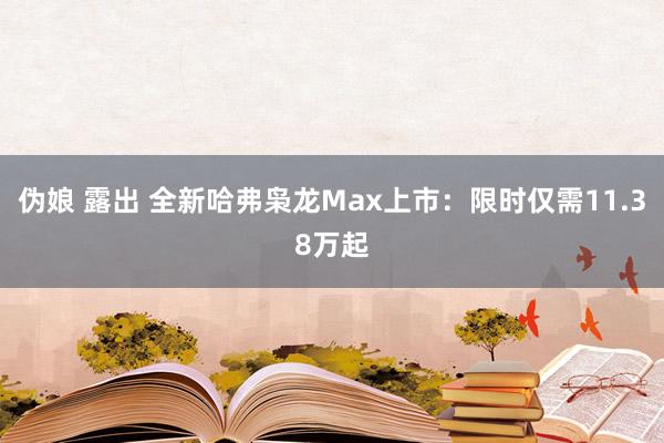 伪娘 露出 全新哈弗枭龙Max上市：限时仅需11.38万起