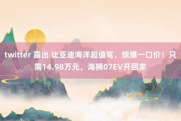 twitter 露出 比亚迪海洋超值驾，惊爆一口价！只需14.98万元，海狮07EV开回家