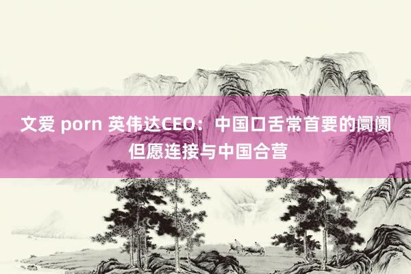 文爱 porn 英伟达CEO：中国口舌常首要的阛阓 但愿连接与中国合营