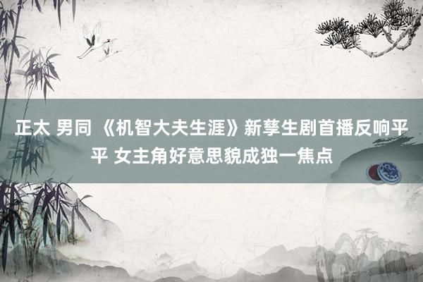 正太 男同 《机智大夫生涯》新孳生剧首播反响平平 女主角好意思貌成独一焦点