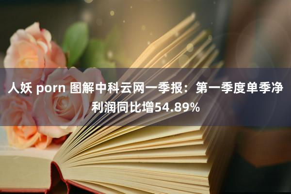 人妖 porn 图解中科云网一季报：第一季度单季净利润同比增54.89%