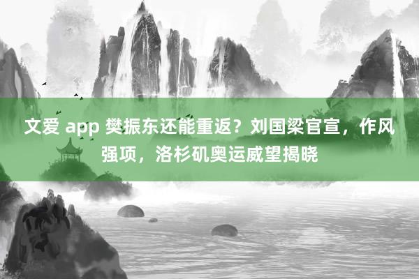 文爱 app 樊振东还能重返？刘国梁官宣，作风强项，洛杉矶奥运威望揭晓