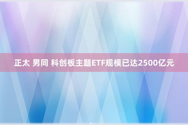 正太 男同 科创板主题ETF规模已达2500亿元