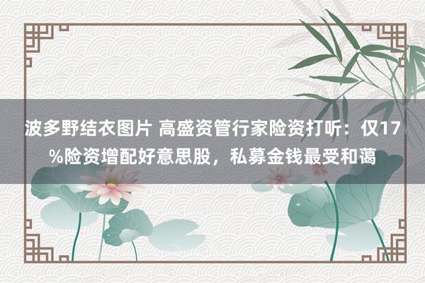 波多野结衣图片 高盛资管行家险资打听：仅17%险资增配好意思股，私募金钱最受和蔼