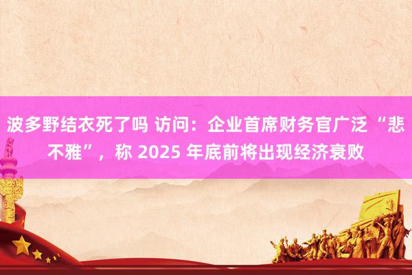 波多野结衣死了吗 访问：企业首席财务官广泛 “悲不雅”，称 2025 年底前将出现经济衰败