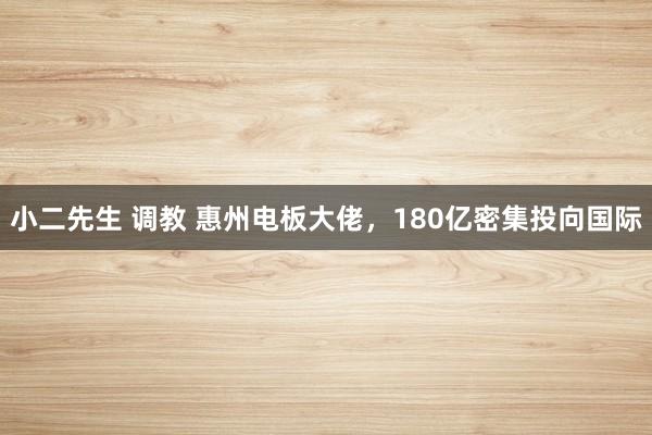 小二先生 调教 惠州电板大佬，180亿密集投向国际