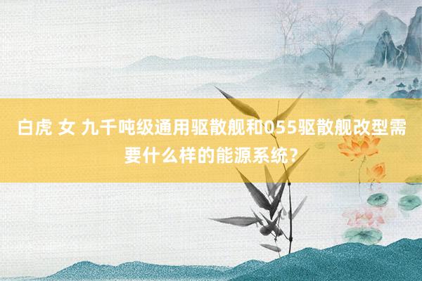 白虎 女 九千吨级通用驱散舰和055驱散舰改型需要什么样的能源系统？