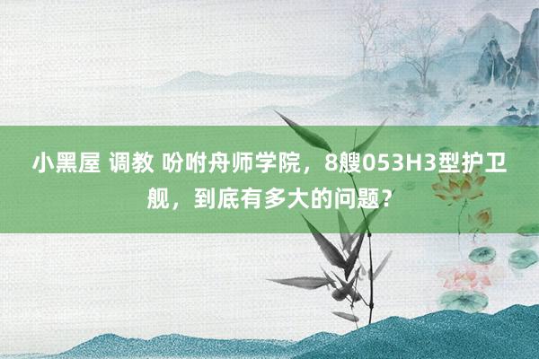 小黑屋 调教 吩咐舟师学院，8艘053H3型护卫舰，到底有多大的问题？