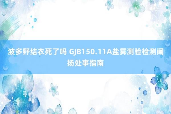 波多野结衣死了吗 GJB150.11A盐雾测验检测阐扬处事指南