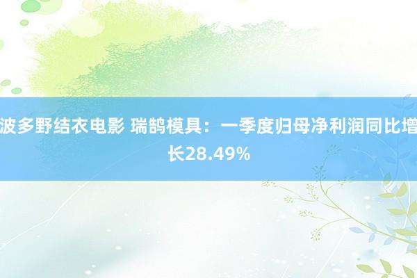 波多野结衣电影 瑞鹄模具：一季度归母净利润同比增长28.49%